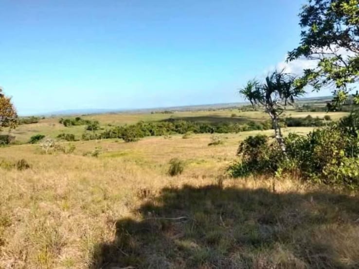 Farm, 8 hectares titled with irrigation, ₱3M negotiable, Milagros