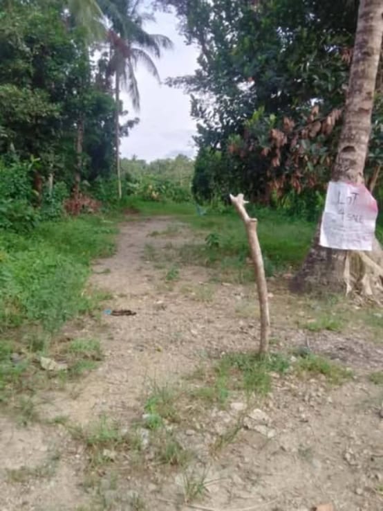Lot, 529 sqm, Mandali, Mobo