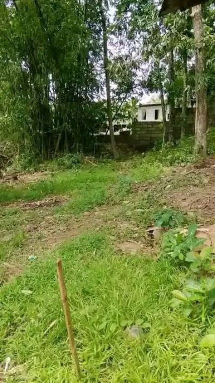 Titled lot, 150 sqm, Matungao, Tugbo, Masbate City