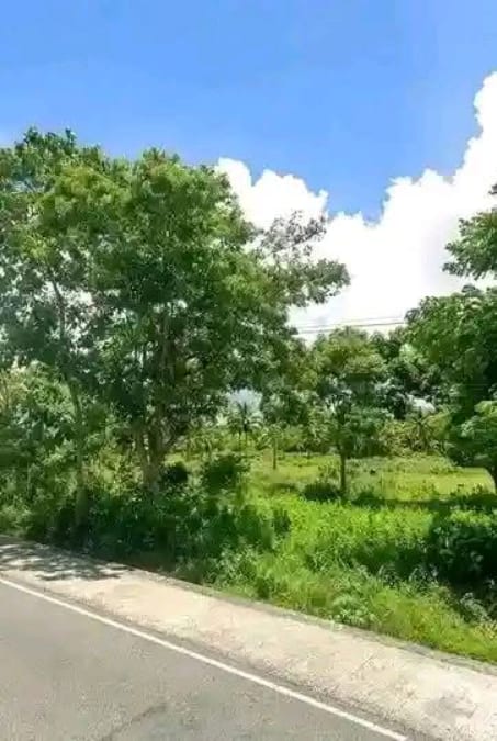 Titled lot, 3,302 sqm on the national highway, Pasiagon, Placer
