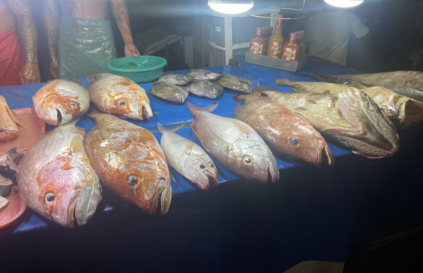 Fresh catch at the Masbate fish market