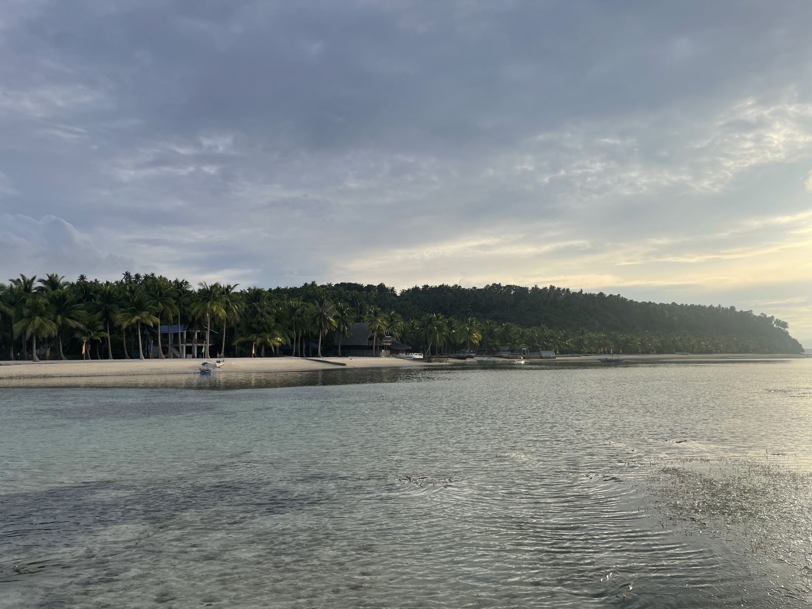 Presidential Beach in Dimasalang at low tide, palms along the shore
